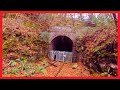 Along Old Railways Chepstow - Tintern Quarry 'Wye Valley Line' Explore