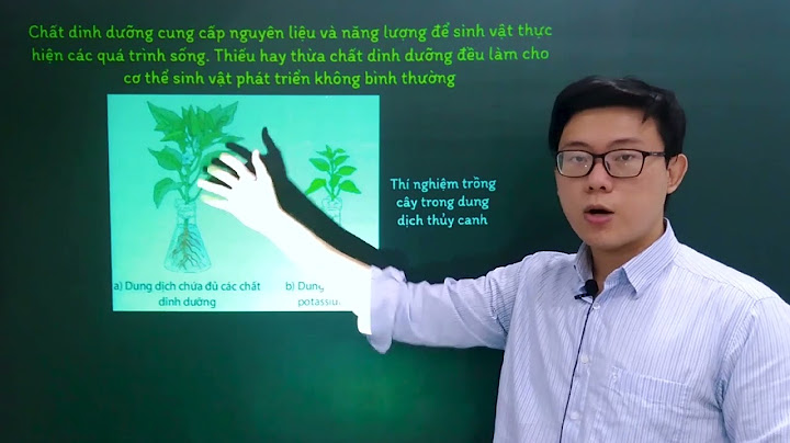 Trong cơ thể sống, chất nào sau đây không có bản chất là lipit