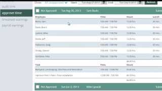 LMNTime - Help - Timesheets - Approve