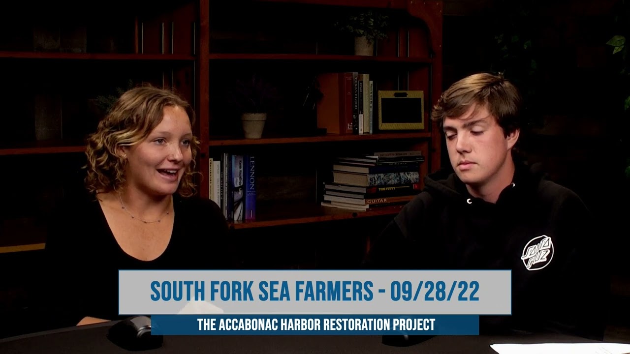 South Fork Sea Farmers- The Accabonac Harbor Restoration Project 9/28/2022