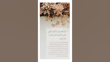 سورة البقره - اسلام صبحي / حالات واتساب - انستقرام 🌱🕊