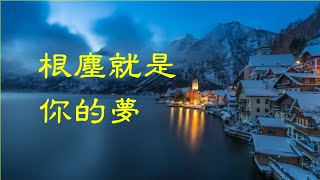 201701 根尘就是你的梦40461