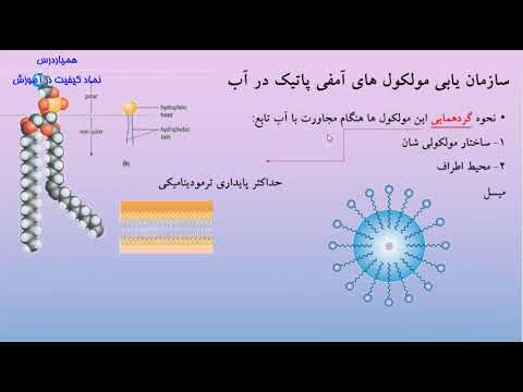 آموزش بیوفیزیک - درس پنجم: بیوفیزیک غشا