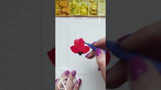 Aquarele Comigo  Papoula