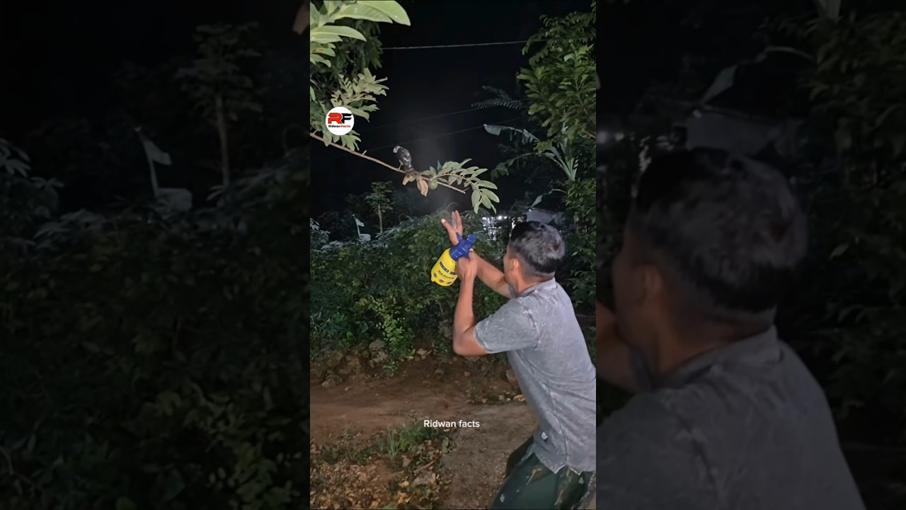 How a Man Captures a Bird Using a Spray
