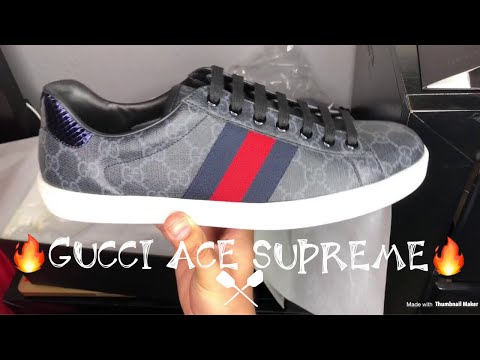 Gucci Ace Supreme Review + On Feet 