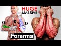How To Build Your Forearm workout (5 Effective Exercises) - تمارين السواعد