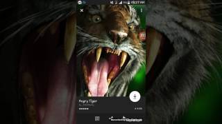 Descargar imajenes y fondos animados con Zedge screenshot 5