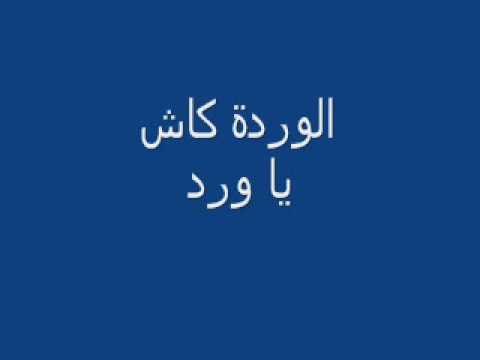 اللوردة كاش يا ورد