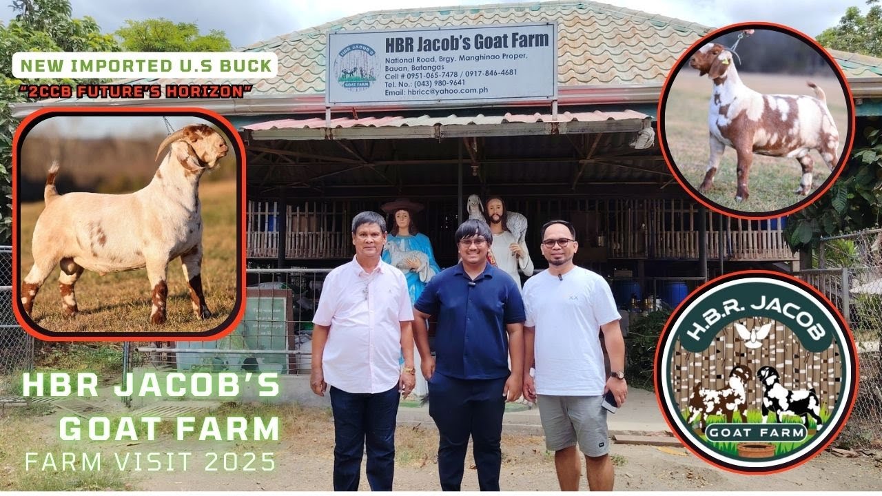 PART 1 HBR JACOB'S GOAT FARM/ GOAT FARMING PHILIPPINES/