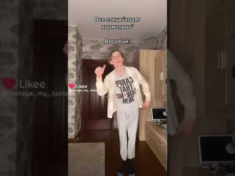 почему воробьи прыгают а не ходят?