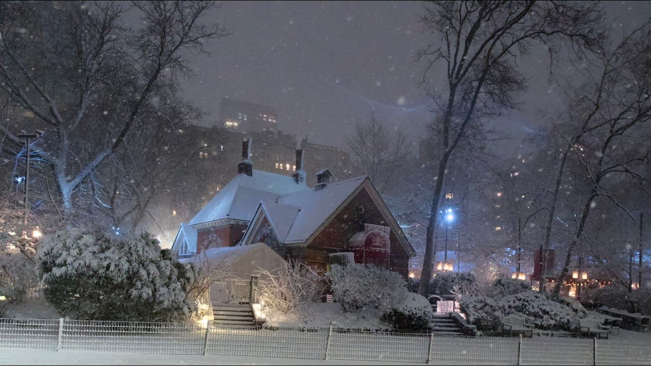 ❄️ NYC BLIZZARD 2026: Walking Through a Winter Wonderland in Central Park (20