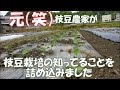 枝豆栽培歴3.4年ほど作ってました。僕が知ってることをなんとか今形にしてみました。美味しい枝豆に興味もってくれたり、いいものが作れることを願ってます！