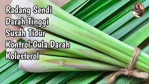 MANFAAT AIR REBUSAN SEREH DAN DAUN PANDAN BAGI KESEHATAN