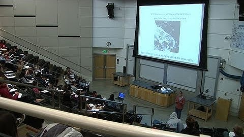 Faculty Collaborate to Improve Online Education