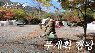 [권수현] 오늘도 난 무계획으로 캠핑을 떠나...🏕️ | 시즌 권수현, 가을소풍