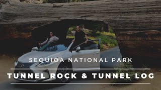 Sequoia & Kings Canyon National Park  | Tunnel Rock | Tunnel Log | Part I