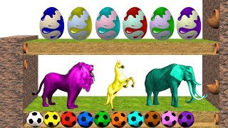 Learn Colors-Learn Numbers-Learn Animal Sounds in English