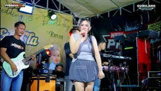 NEW PANDAWA MUSIC - AFTER THE DARKNESS THE LIGHT RISES - RAHMA ANJANI - WEDDING NAFI & A'LA - BUC...