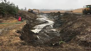 Creek Daylighting and Wetland Restoration