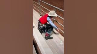Rodeo Tiktok 🤠🐮