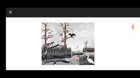 CLASS 4 Block 16.4 BIOSPHERE SOCIAL SCIENCE