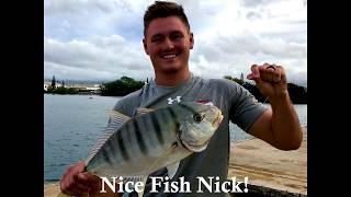 Pier Casting A Fat Bonefish & RARE Golden Trevally!