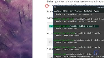 INTRODUCCION E INSTALACION PROGRAMANDO EN GAMBAS3 #1