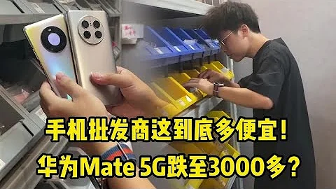 手機批發商這到底多便宜！華為Mate 5G跌至3000多？ - 天天要聞