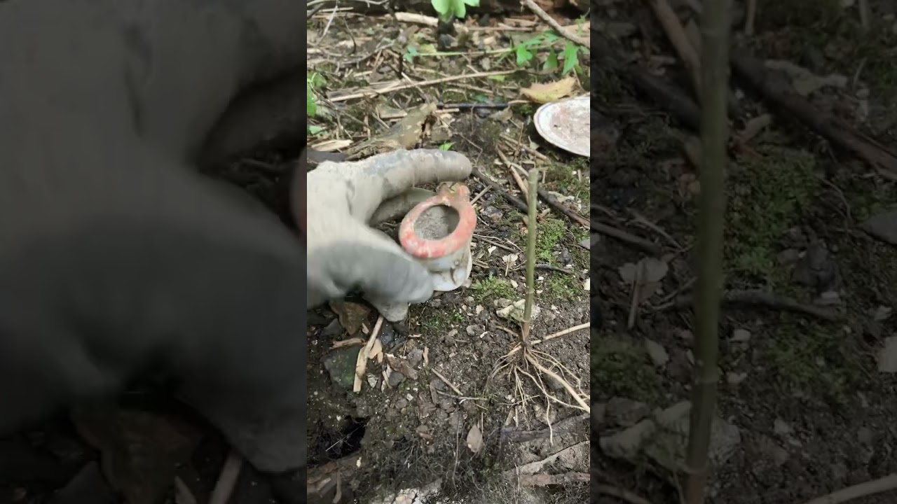 Mustard Toilet Found in the Woods! Disgustingly Awesome. Bottle Digging