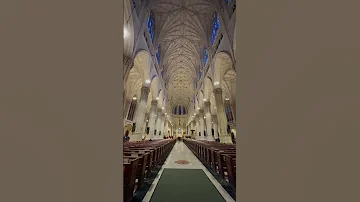 Singer Music Songcover Love Cover Song 2025 Travel Stpatrick Day Nyc Tour Church Cathedral 