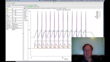 CCN Course 2020, Neuron 8: Spiking