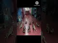 Huge giant cockroaches and Lizard#animation #ai #cgi #huge#giant #cockroach #lizard