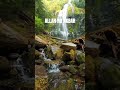 Surah Baqarah ayat 148–150 urdu translation #quran #viralvideo #quranbynusrat #shortvideo #shorts