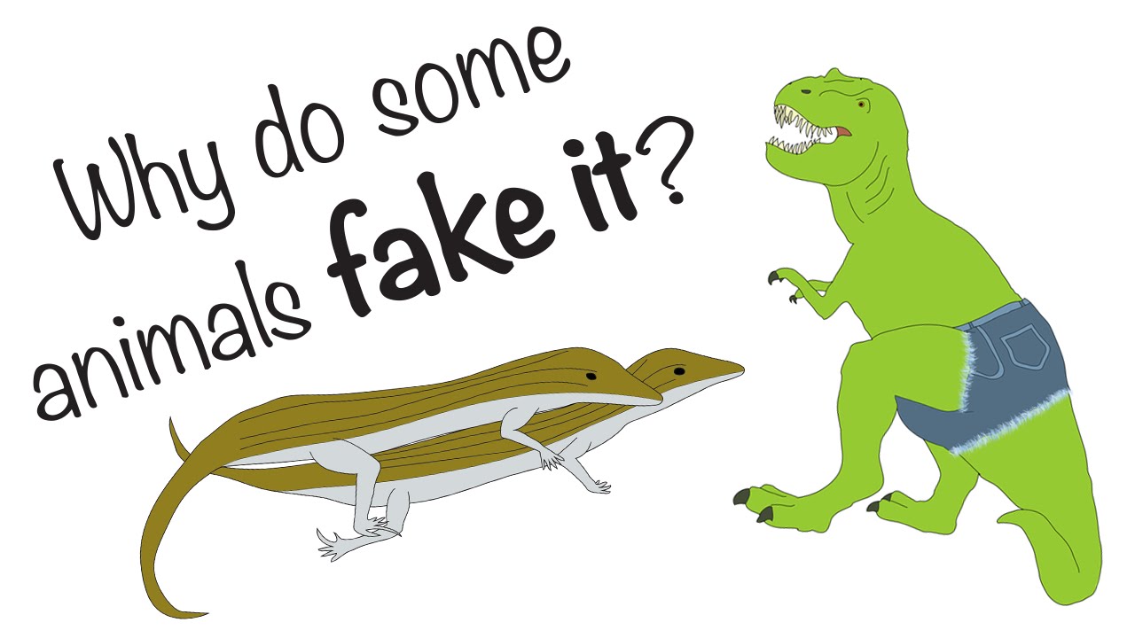 Sexy Science Shorts - Faking It