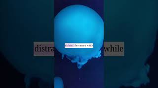 The Scary Animal Script in Your Brain 🌊 #shorts #mindmatrix #psychology #shortsfeed #viral #trending