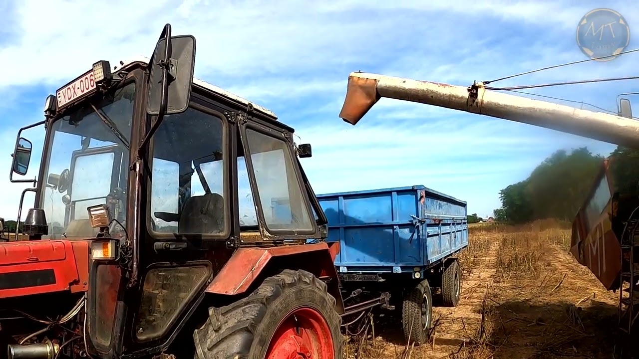 2025 Forgó aratás 1.rész