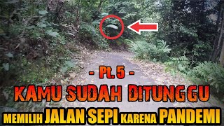 😱 PANIK GAK ⁉️ MENJUMPAI PENAMPAKAN DAUN PISANG YANG BISA BERGERAK SENDIRI DITENGAH PERJALANAN‼️
