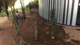 Abiotic vs Biotic Factors