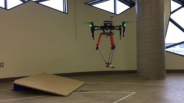 Delta Manipulander - Adative Landing Gear and Aerial Manipulation in One System