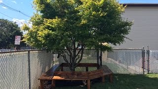 In June of 2015 I was commissioned to build a hexagonal tree bench, Unfortunately i have no footage of that build but that is no 