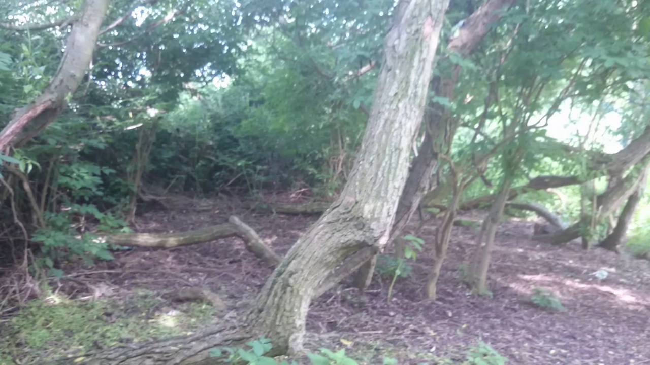 Section of River Idle