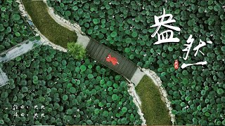 【盎然】讓人耳目一新的古箏原創歌曲by央央｜Original Guzheng Music Made by Yangyang｜Chinese Instrument