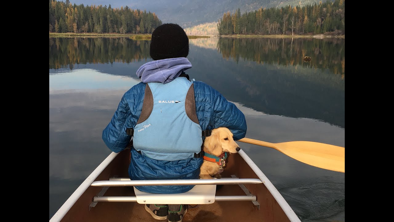 SAVE THE SLOCAN RIVER from the use of motorized watercraft - raising awareness- 2020