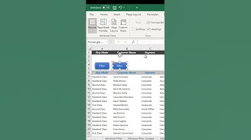Excel Advanced Filter Explained: Filtering Data Like a Pro - 21, Automation Analytics, MIS Family
