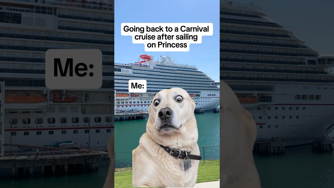 Going back to a Carnival cruise after sailing on Princess.  🤣 #CruiseLife #Cruising