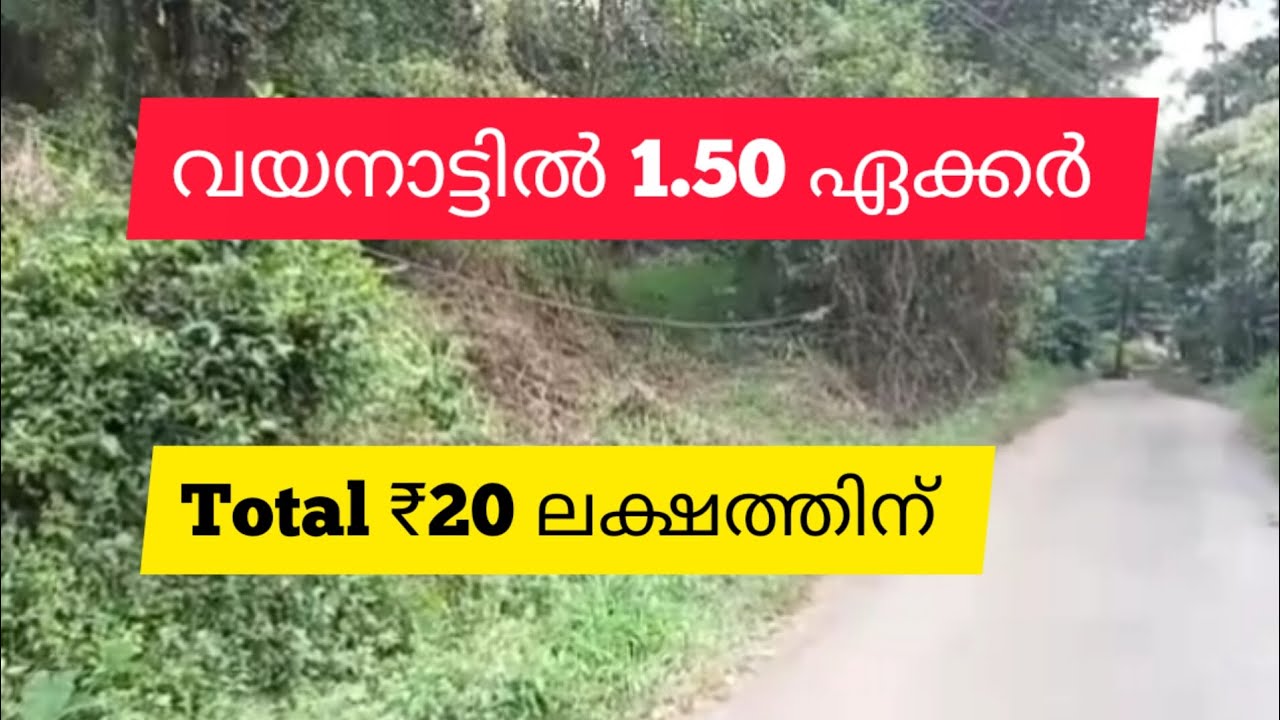 1-50-acre-farm-agricultural-resort-land-for-sale-wayanad-youtube
