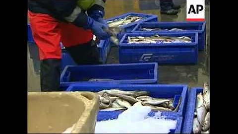NEWS FEATURE UK fishermen appeal to EU for relaxation of quotas