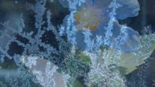 Secret Garden: Lament For A Frozen Flower chords