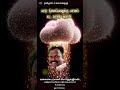 வாழ நினைப்பவனுக்கு வாழ்க்கை